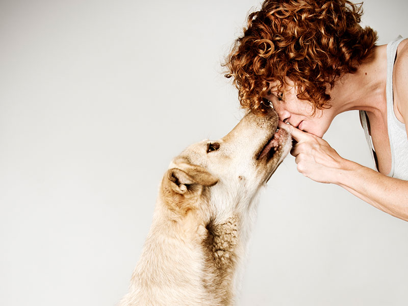 where-to-buy-myhmb-pet-muscle-health-supplements