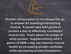 The myHMB Muscle Health Solution