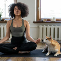 woman sitting on a yoga mat in her apartment cross legged, eyes shut, meditating and dog sitting next to her | myHMB Blog the power of meditation by Jennifer Dietrick