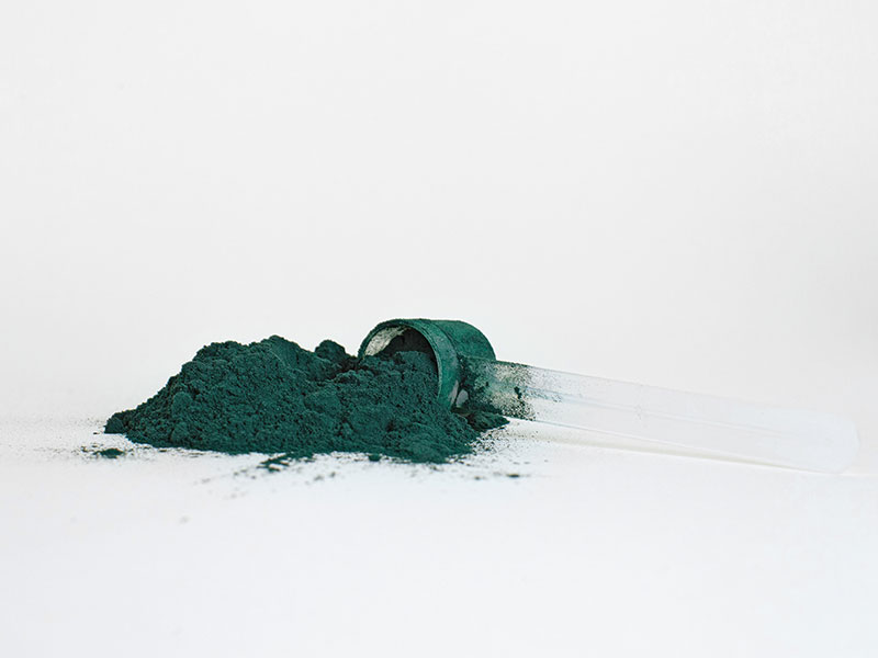 green powder with a powder scoop / myHMB news article How to Become a Major Player in the Supplement Market