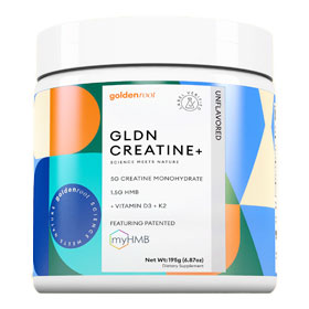 GoldenRoot GLDN Creatine+