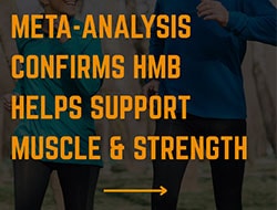 Meta-Analysis Confirms HMB Helps Support Muscle & Strength